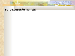FOTO EVOLUÇÃO REPTEIS 