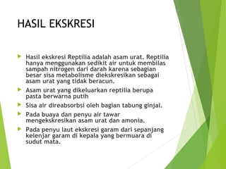 HASIL EKSKRESI 
 Hasil ekskresi Reptilia adalah asam urat. Reptilia 
hanya menggunakan sedikit air untuk membilas 
sampah nitrogen dari darah karena sebagian 
besar sisa metabolisme diekskresikan sebagai 
asam urat yang tidak beracun. 
 Asam urat yang dikeluarkan reptilia berupa 
pasta berwarna putih 
 Sisa air direabsorbsi oleh bagian tabung ginjal. 
 Pada buaya dan penyu air tawar 
mengekskresikan asam urat dan amonia. 
 Pada penyu laut ekskresi garam dari sepanjang 
kelenjar garam di kepala yang bermuara di 
sudut mata. 
 