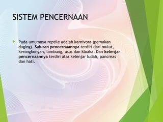 SISTEM PENCERNAAN 
 Pada umumnya reptile adalah karnivora (pemakan 
daging). Saluran pencernaannya terdiri dari mulut, 
kerongkongan, lambung, usus dan kloaka. Dan kelenjar 
pencernaannya terdiri atas kelenjar ludah, pancreas 
dan hati. 
 
