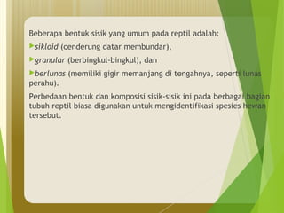 Beberapa bentuk sisik yang umum pada reptil adalah: 
sikloid (cenderung datar membundar), 
granular (berbingkul-bingkul), dan 
berlunas (memiliki gigir memanjang di tengahnya, seperti lunas 
perahu). 
Perbedaan bentuk dan komposisi sisik-sisik ini pada berbagai bagian 
tubuh reptil biasa digunakan untuk mengidentifikasi spesies hewan 
tersebut. 
 