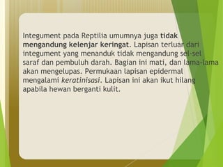 Integument pada Reptilia umumnya juga tidak 
mengandung kelenjar keringat. Lapisan terluar dari 
integument yang menanduk tidak mengandung sel-sel 
saraf dan pembuluh darah. Bagian ini mati, dan lama-lama 
akan mengelupas. Permukaan lapisan epidermal 
mengalami keratinisasi. Lapisan ini akan ikut hilang 
apabila hewan berganti kulit. 
 