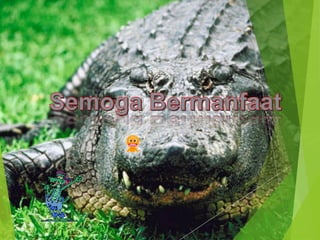 Vertebrata (Reptilia) 