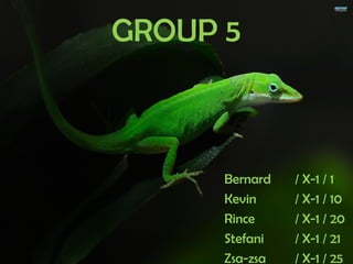 GROUP 5
Bernard / X-1 / 1
Kevin / X-1 / 10
Rince / X-1 / 20
Stefani / X-1 / 21
Zsa-zsa / X-1 / 25
 