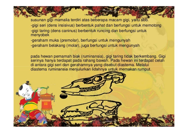Reptilia mamalia Reptilia mamalia