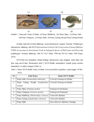 (c) (d)
(e) (f) (g)
Gambar 1. Jenis-jenis Penyu di Dunia; (a) Penyu Belimbing ; (b) Penyu Hijau ; (c) Penyu Sisik ;
(d) Penyu Tempayan ; (e) Penyu Pipih ; (f) Penyu Lekang dan (g) Penyu Lekang Kempii
Ketujuh reptil laut tersebut dilindungi secara Internasional maupun Nasional. Perlindungan
Internasional dilndungi oleh IUCN (International Union for The Conservationof Nature) Red List,
CITES (Convention on International Trade in Endangerd Species of Wild Fauna and Flora) dan
perlindungan Nasional dilindungi oleh UU No.5 Tahun 1990 dan PP No.7 tahun 1999 (Fajar,
2014).
IUCN Red List merupakan sebuah lembaga internasional yang mengatur status fauna dan
flora yang ada di alam. Berdasarkan tabel 1, IUCN Redlist memasukkan ketujuh penyu tersebut
dimasukkan ke dalam kategori (Tabel 1) :
Tabel 1. Status IUCN Redlist Penyu di Dunia (www.iucnredlist.org,diakses pada tanggal 24 Mei
2015)
No Jenis Penyu Status IUCN Redlist
1 Penyu Sisik (Eretmochelys imbricata) Critically Endangered (Kritis)
2 Penyu Lekang Kempii (Lepidochelys
kempii)
Critically Endangered (Kritis)
3 Penyu Hijau (Chelonia mydas) Endangered (Terancam)
4 Penyu Tempayan (Caretta caretta) Endangered (Terancam)
5 Penyu Belimbing (Dermochelys coriacea) Vulnerable (Rentan)
6 Penyu Lekang (Lepidochelys olivacea) Vulnerable (Rentan)
7 Penyu Pipih Data Deficient (Informasi Kurang)
 