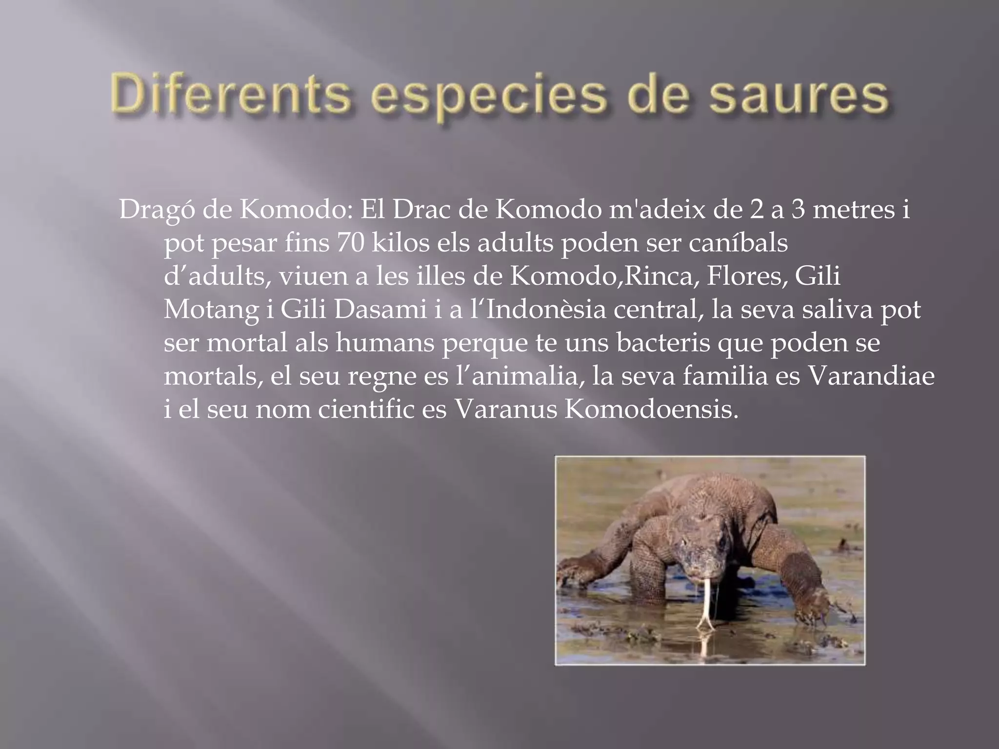 Dragó de Komodo: El Drac de Komodo m'adeix de 2 a 3 metres i
   pot pesar fins 70 kilos els adults poden ser caníbals
   d’adults, viuen a les illes de Komodo,Rinca, Flores, Gili
   Motang i Gili Dasami i a l‘Indonèsia central, la seva saliva pot
   ser mortal als humans perque te uns bacteris que poden se
   mortals, el seu regne es l’animalia, la seva familia es Varandiae
   i el seu nom cientific es Varanus Komodoensis.
 