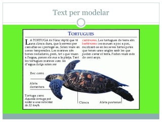 Text per modelar
 