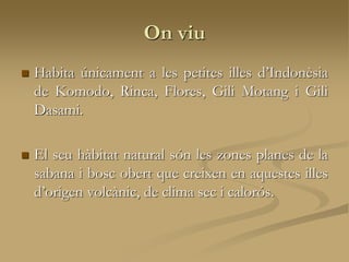 On viu
 Habita únicament a les petites illes d’Indonèsia
de Komodo, Rinca, Flores, Gili Motang i Gili
Dasami.
 El seu hàbitat natural són les zones planes de la
sabana i bosc obert que creixen en aquestes illes
d’origen volcànic, de clima sec i calorós.
 