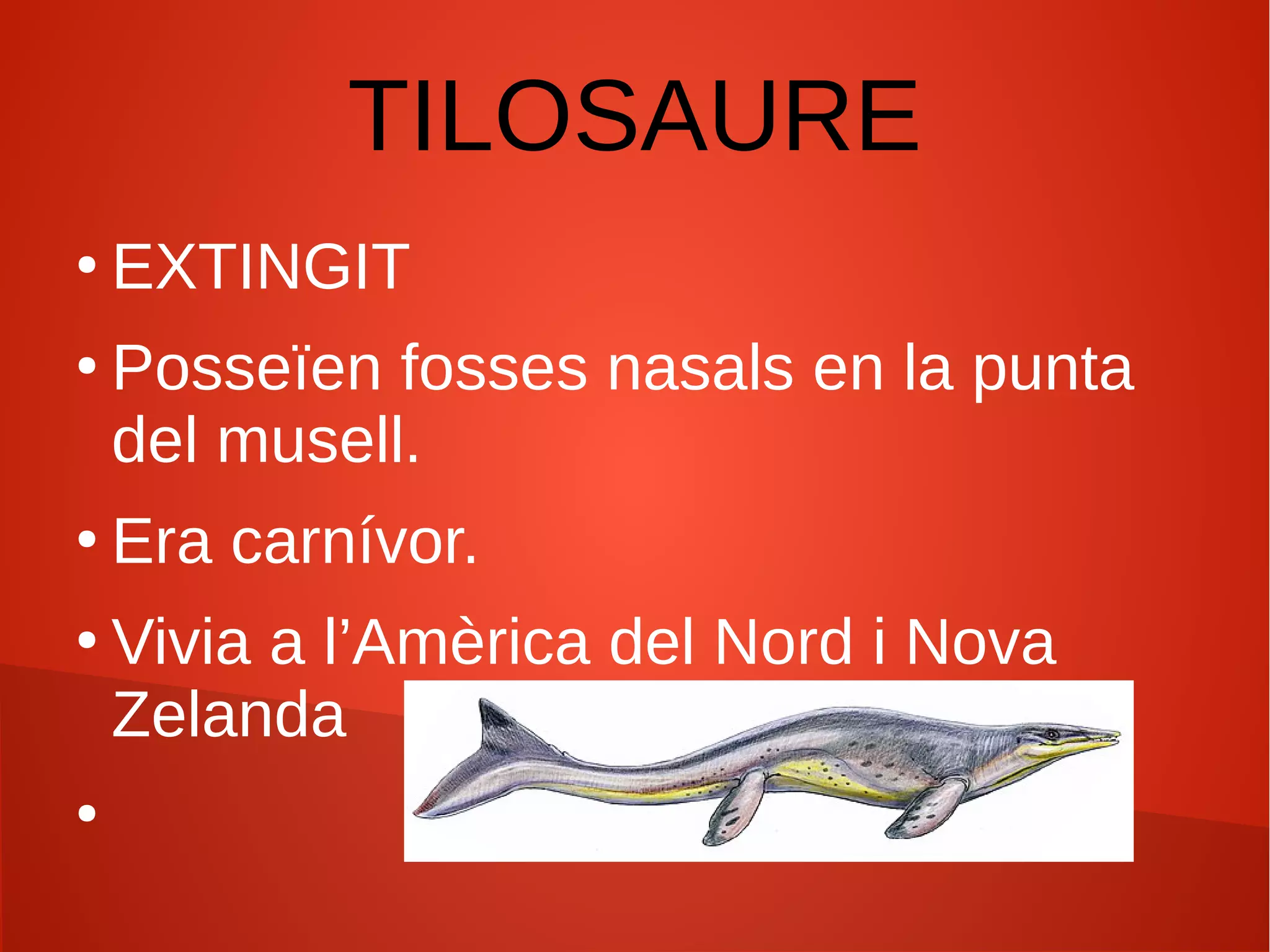 TILOSAURE
●
EXTINGIT
●
Posseïen fosses nasals en la punta
del musell.
●
Era carnívor.
●
Vivia a l’Amèrica del Nord i Nova
Zelanda
●
 
