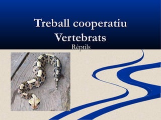 Treball cooperatiuTreball cooperatiu
VertebratsVertebrats
RèptilsRèptils
 