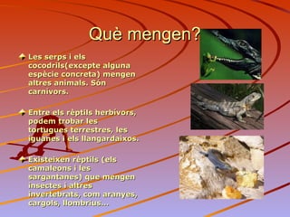 Què mengen?Què mengen?
Les serps i elsLes serps i els
cocodrils(excepte algunacocodrils(excepte alguna
espècie concreta) mengenespècie concreta) mengen
altres animals. Sónaltres animals. Són
carnívors.carnívors.
Entre els rèptils herbívors,Entre els rèptils herbívors,
podem trobar lespodem trobar les
tortugues terrestres, lestortugues terrestres, les
iguanes i els llangardaixos.iguanes i els llangardaixos.
Existeixen rèptils (elsExisteixen rèptils (els
camaleons i lescamaleons i les
sargantanes) que mengensargantanes) que mengen
insectes i altresinsectes i altres
invertebrats, com aranyes,invertebrats, com aranyes,
cargols, llombrius...cargols, llombrius...
 