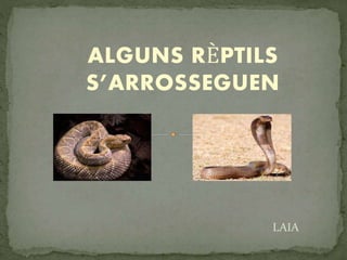 ALGUNS RÈPTILS
S’ARROSSEGUEN
LAIA
 