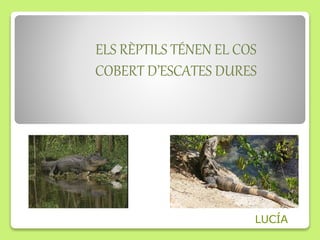 ELS RÈPTILS TÉNEN EL COS
COBERT D’ESCATES DURES
LUCÍA
 