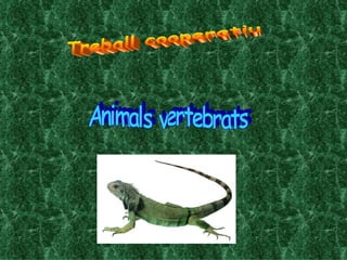 Treball cooperatiu Animals vertebrats 