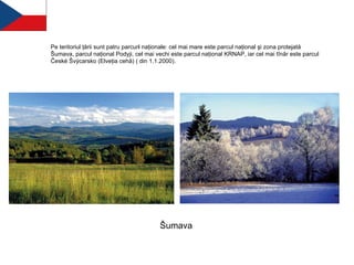 Pe teritoriul ţării sunt patru parcur i  naţionale: cel mai mare este parcul naţional şi zona protejată Šumava, parcul naţional Podyji, cel mai vechi este parcul naţional KRNAP, iar cel mai tînăr este parcul České Švýcarsko (Elveţia cehă) ( din 1.1.2000).  Šumava 