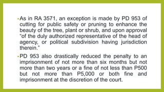 •As in RA 3571, an exception is made by PD 953 of
cutting for public safety or pruning to enhance the
beauty of the tree, plant or shrub, and upon approval
“of the duly authorized representative of the head of
agency, or political subdivision having jurisdiction
therein.”
•PD 953 also drastically reduced the penalty to an
imprisonment of not more than six months but not
more than two years or a fine of not less than P500
but not more than P5,000 or both fine and
imprisonment at the discretion of the court.
 