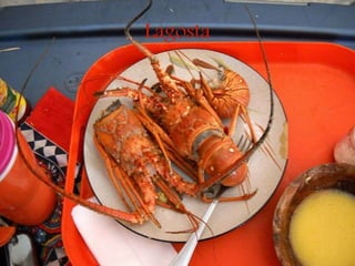 Lagosta
 