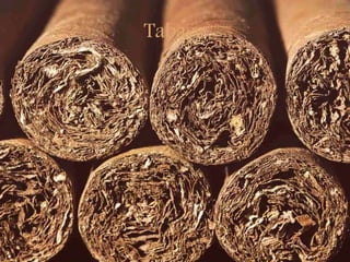 Tabaco
 