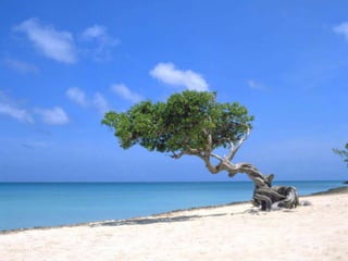 República dominicana