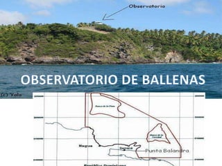 República dominicana