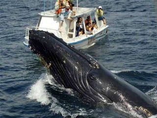 República dominicana