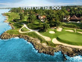 República dominicana