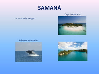 SAMANÁ
Cayo Levantado
Ballenas Jorobadas
La zona más viergen
 