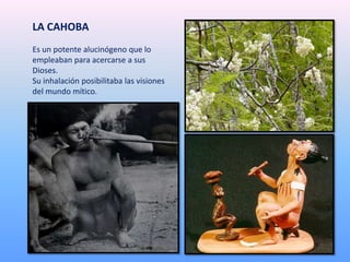 LA CAHOBA
Es un potente alucinógeno que lo
empleaban para acercarse a sus
Dioses.
Su inhalación posibilitaba las visiones
del mundo mítico.
 