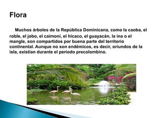 Republica dominicana trabajo.pptx