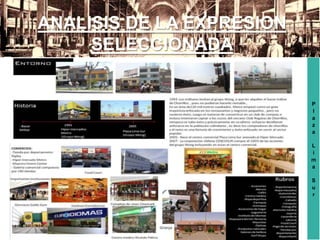 P
l
a
z
a
L
i
m
a
S
u
r
ANALISIS DE LA EXPRESION
SELECCIONADA
 