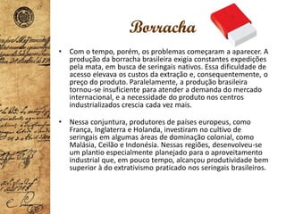 Borracha
• Com o tempo, porém, os problemas começaram a aparecer. A
produção da borracha brasileira exigia constantes expedições
pela mata, em busca de seringais nativos. Essa dificuldade de
acesso elevava os custos da extração e, consequentemente, o
preço do produto. Paralelamente, a produção brasileira
tornou-se insuficiente para atender a demanda do mercado
internacional, e a necessidade do produto nos centros
industrializados crescia cada vez mais.
• Nessa conjuntura, produtores de países europeus, como
França, Inglaterra e Holanda, investiram no cultivo de
seringais em algumas áreas de dominação colonial, como
Malásia, Ceilão e Indonésia. Nessas regiões, desenvolveu-se
um plantio especialmente planejado para o aproveitamento
industrial que, em pouco tempo, alcançou produtividade bem
superior à do extrativismo praticado nos seringais brasileiros.
 