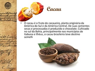 Cacau
• O cacau é o fruto do cacaueiro, planta originária da
América do Sul e da América Central. De suas sementes
secas e processadas é produzido o chocolate. Cultivado
no sul da Bahia, principalmente nos municípios de
Itabuna e Ilhéus, o cacau brasileiro teve destino
semelhante ao da borracha no mercado externo.
 