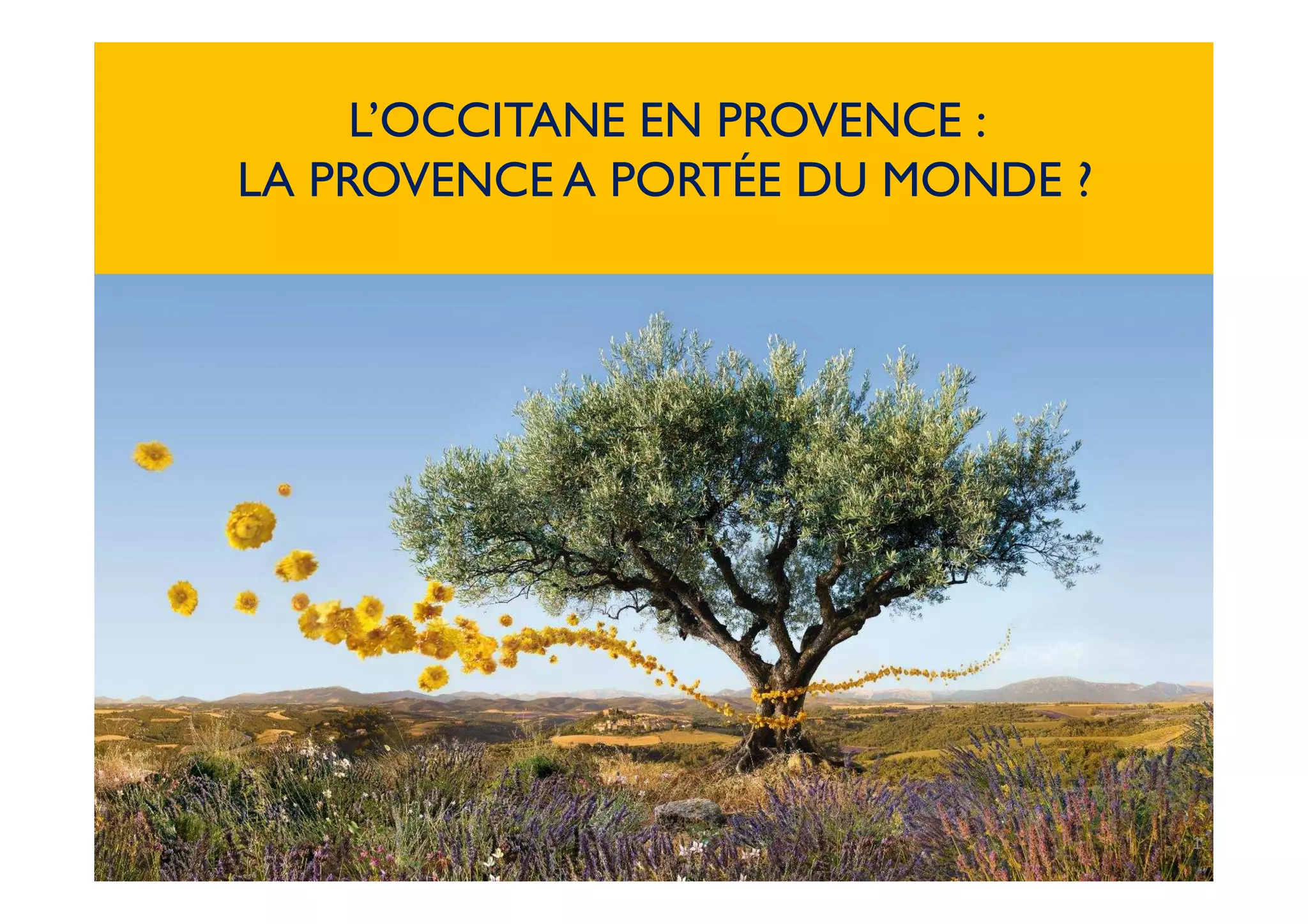 1
L’OCCITANE EN PROVENCE :
LA PROVENCE A PORTÉE DU MONDE ?