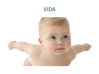 VIDA
 