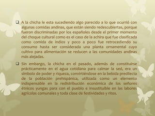  A la chicha le esta sucediendo algo parecido a lo que ocurrió con
algunas comidas andinas, que están siendo redescubiertas, porque
fueron discriminadas por los españoles desde el primer momento
del choque cultural como es el caso de la achira que fue clasificada
como comida de indios y poco a poco fue retrocediendo su
consumo hasta ser considerada una planta ornamental cuyo
cultivo para alimentación se reducen a las comunidades andinas
más alejadas.
 Sin embargo, la chicha en el pasado, además de constituirse
prácticamente en el agua cotidiana para calmar la sed, era un
símbolo de poder y riqueza, convirtiéndose en la bebida predilecta
de la población prehispánica, utilizada como un elemento
indispensable en la redistribución económica de los señores
étnicos yungas para con el pueblo e insustituible en las labores
agrícolas comunales y toda clase de festividades y ritos.
 