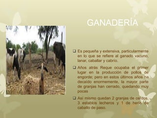 GANADERÍA
 Es pequeña y extensiva, particularmente
en lo que se refiere al ganado vacuno,
lanar, caballar y cabrío.
 Años atrás Reque ocupaba el primer
lugar en la producción de pollos de
engorde; pero en estos últimos años ha
decaído enormemente, la mayor parte
de granjas han cerrado, quedando muy
pocas
 Así mismo quedan 2 granjas de cerdos,
3 establos lecheros y 1 de hería de
caballo de paso.
 