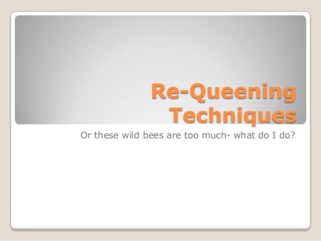 Requeening Frame Langstroth Beehive Re-queen Hive