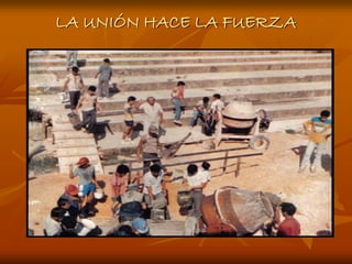 LA UNIÓN HACE LA FUERZA
 