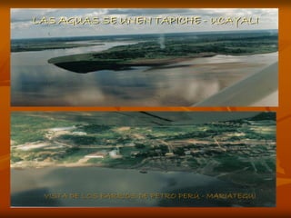 LAS AGUAS SE UNEN TAPICHE - UCAYALI




 VISTA DE LOS BARRIOS DE PETRO PERÚ - MARIATEGUI
 