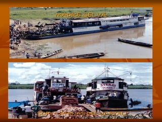 MADRE SELVA




SOFY – ATENAS DEL UCAYALI
 