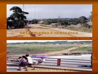 DE LA PEDRERA A SINCHI ROCA




 VISTA CAMINO A LA PLAYA
 