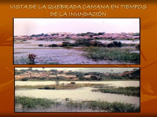 VISTA DE LA QUEBRADA CAMANA EN TIEMPOS
             DE LA INUNDACIÓN
 