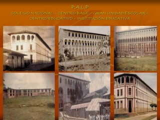 P.A.L.P
COLEGIO NACIONAL – CENTRO BASE – GRAN UNIDAD ESCOLAR –
       CENTRO EDUCATIVO – INSTITUCIÓN EDUCATIVA
 
