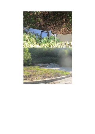 Requerimento santa maria de lamas2