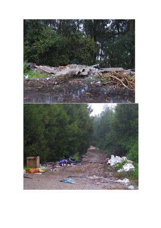 Requerimento zona industrial casalinho