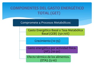 Formula Get requerimiento de energia.pdf