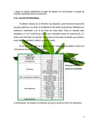 43
- Llegar en estado satisfactorio al lugar de destino a fin de alcanzar un grado de
madurez apropiado tras la maduración.
2.12. VALOR NUTRICIONAL.
El plátano maduro es un alimento muy digestivo, pues favorece la secreción
de jugos gástricos, por tanto es empleada en las dietas de personas afectadas por
trastornos intestinales y en la de niños de corta edad. Tiene un elevado valor
energético (1,1-2,7 kcal/100 g), siendo una importante fuente de vitaminas B y C,
tanto como el tomate o la naranja. Numerosas son las sales minerales que contiene,
entre ellas las de hierro, fósforo, potasio y calcio.
En la siguiente tabla se muestra el valor nutricional del plátano fresco por
100 gramos de sustancia comestible:
Tabla 2. Valor
nutricional del plátano
fresco por 100 g de
sustancia comestible.
A continuación se muestra el contenido por kg en comercio (32% de deshecho):
 