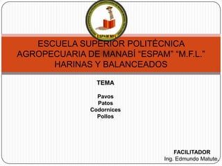 ESCUELA SUPERIOR POLITÉCNICA
AGROPECUARIA DE MANABÍ “ESPAM” “M.F.L.”
HARINAS Y BALANCEADOS
TEMA
Pavos
Patos
Codornices
Pollos

FACILITADOR
Ing. Edmundo Matute.

 