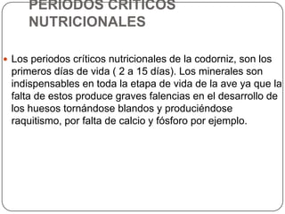 PERIODOS CRITICOS
NUTRICIONALES
 Los periodos críticos nutricionales de la codorniz, son los

primeros días de vida ( 2 a 15 días). Los minerales son
indispensables en toda la etapa de vida de la ave ya que la
falta de estos produce graves falencias en el desarrollo de
los huesos tornándose blandos y produciéndose
raquitismo, por falta de calcio y fósforo por ejemplo.

 
