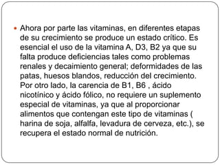  Ahora por parte las vitaminas, en diferentes etapas

de su crecimiento se produce un estado crítico. Es
esencial el uso de la vitamina A, D3, B2 ya que su
falta produce deficiencias tales como problemas
renales y decaimiento general; deformidades de las
patas, huesos blandos, reducción del crecimiento.
Por otro lado, la carencia de B1, B6 , ácido
nicotínico y ácido fólico, no requiere un suplemento
especial de vitaminas, ya que al proporcionar
alimentos que contengan este tipo de vitaminas (
harina de soja, alfalfa, levadura de cerveza, etc.), se
recupera el estado normal de nutrición.

 